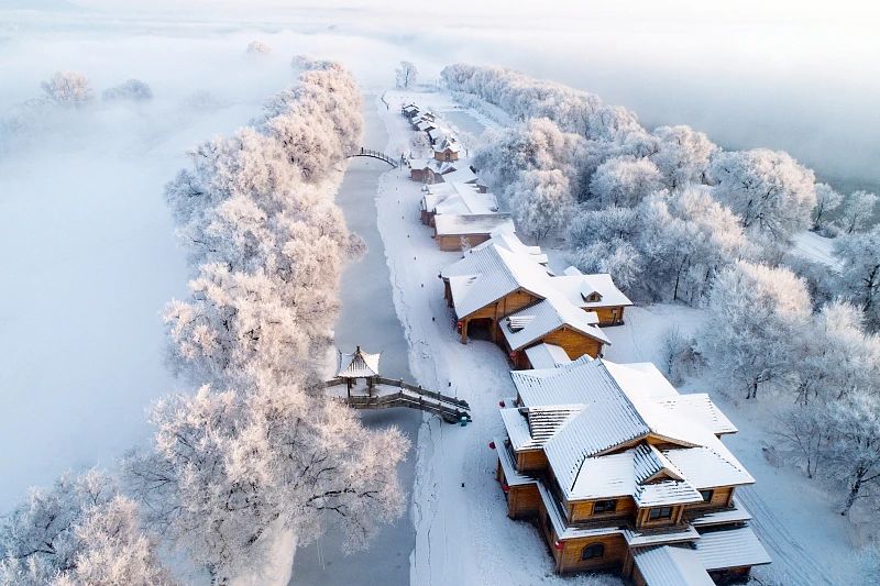 今日大雪丨暮雪浮白 天地素裹